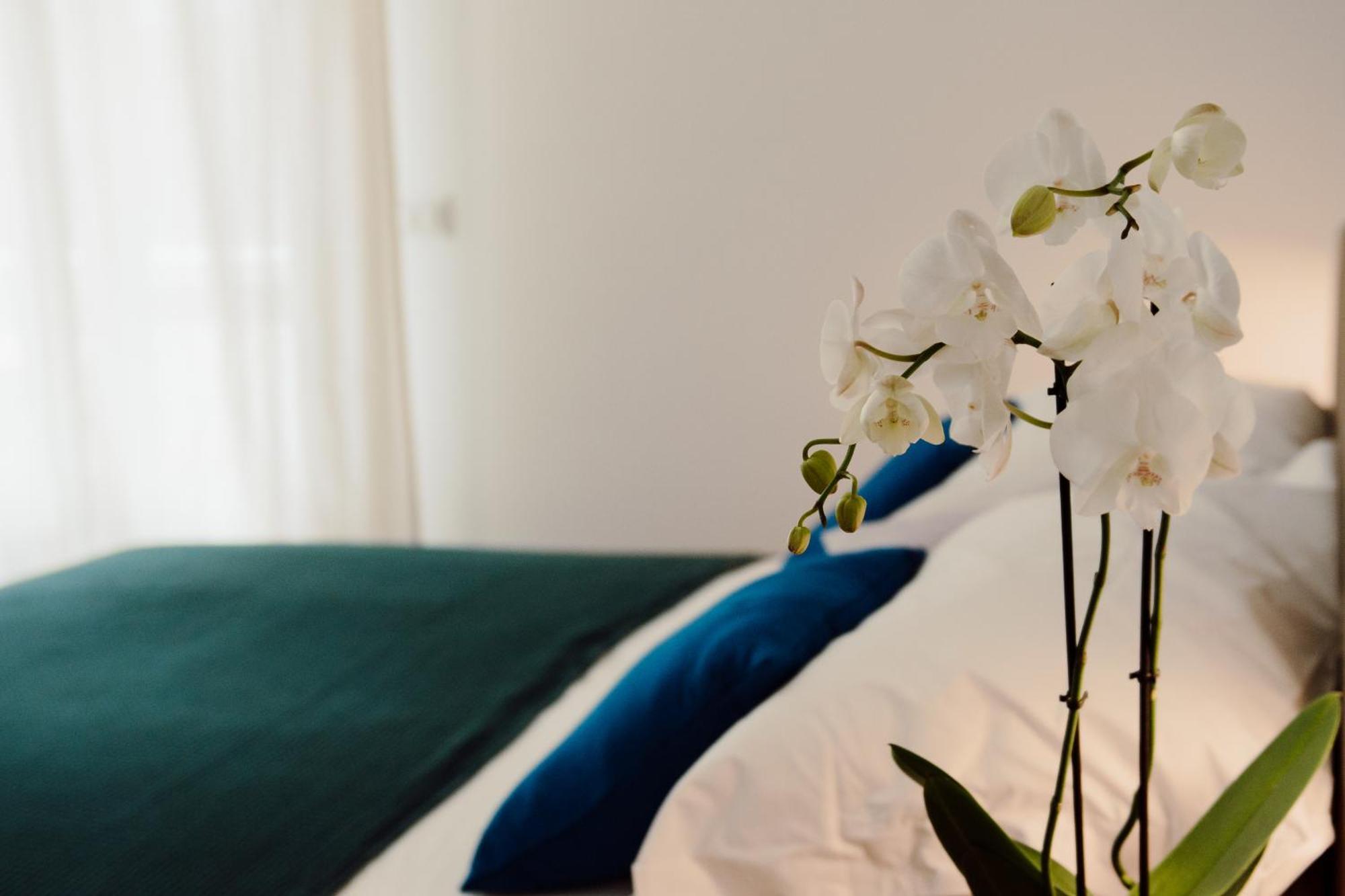 Sweet Dreams Hotel Civitavecchia Exterior photo
